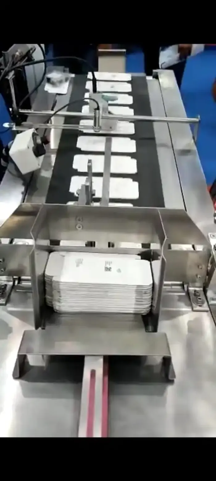 SPP-02 Feeder Conveyor - View 1