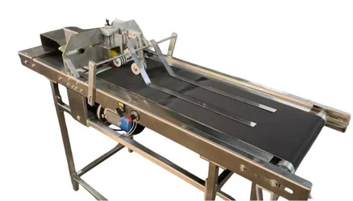 Label Feeder Conveyor - View 3
