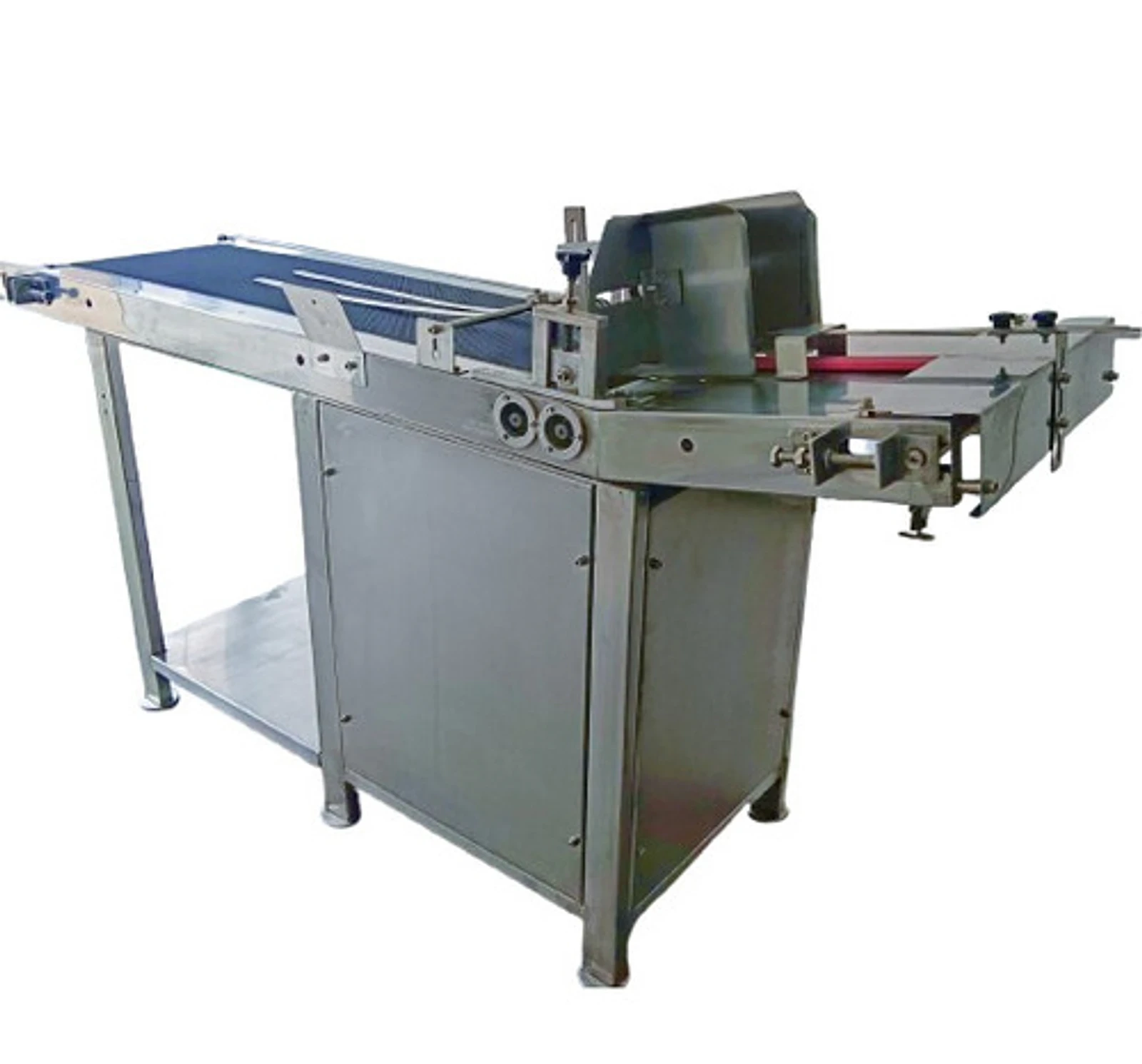 Auto Feeder Conveyor for Batch Coding and Printing - Sigmapack Engineers