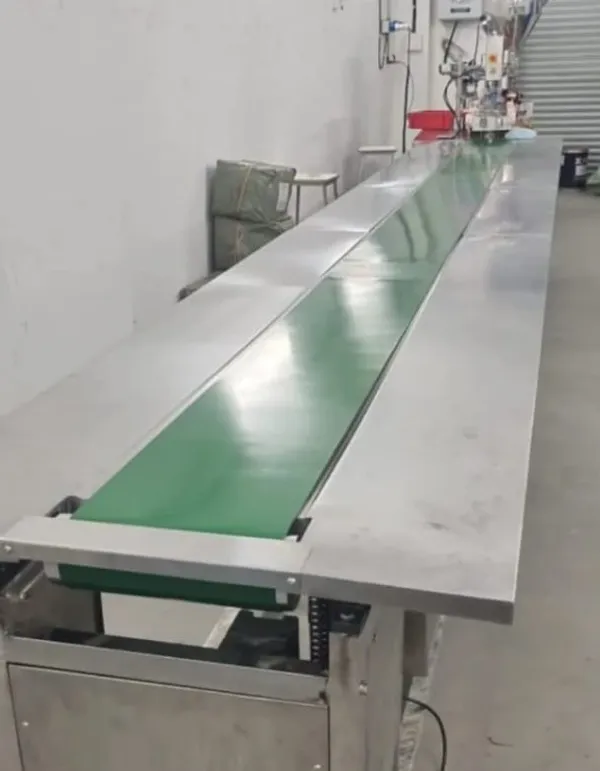 SPS-03 Pharmaceutical Packing Conveyor